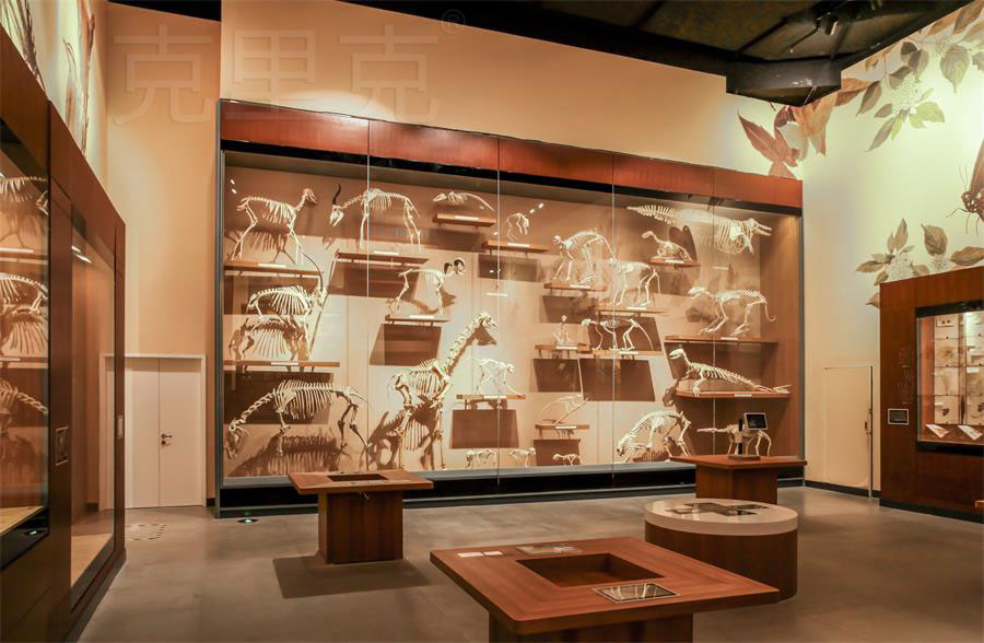 博物館高展柜尺寸設(shè)計標(biāo)準(zhǔn) 博物館高展柜尺寸設(shè)計標(biāo)準(zhǔn)