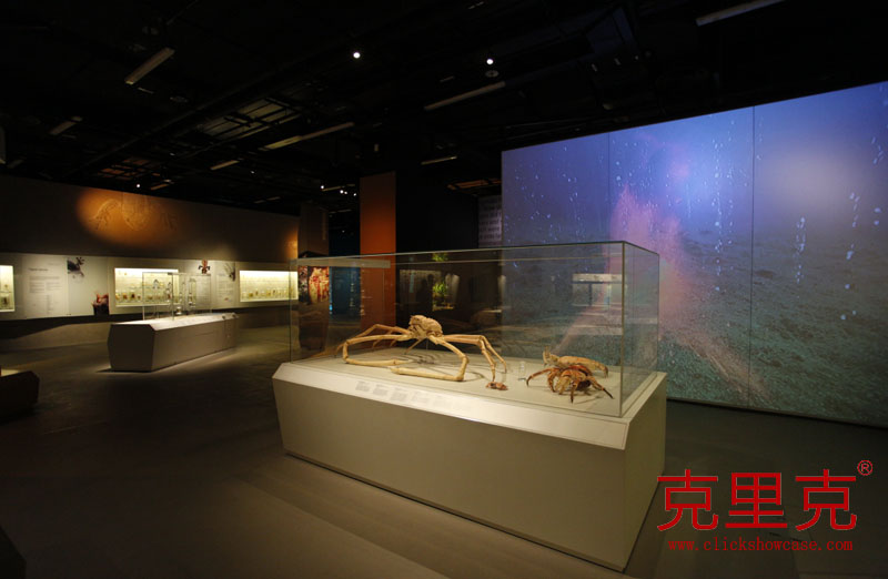 博物館桌式展柜尺寸設(shè)計標(biāo)準(zhǔn) 博物館桌式展柜尺寸設(shè)計標(biāo)準(zhǔn)