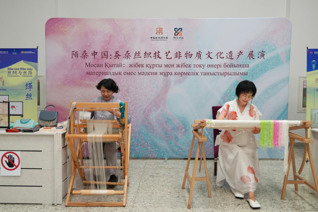 1750309547276342.png 02.webp.png